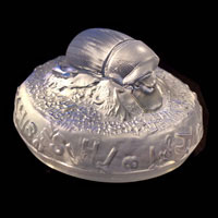 Cast Glass / Dung Beetle / Clear