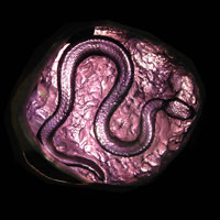 Cast Glass / Snake 2 / Purple