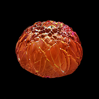 Cast Glass / Chrysantheumum / Orange / 3.2”