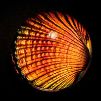 Lead Crystal Cast Glass / Andara Shell / Red / 3”