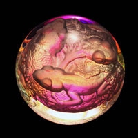 Lead Crystal Cast Glass / Geckos / 3”