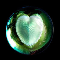 Lead Crystal Cast Glass / Love Shell / Green / 3”