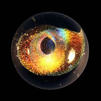 Lampworked / Diachromatic / Swirl / 2.5”