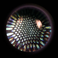 Lampworked / Dots / 2.5”